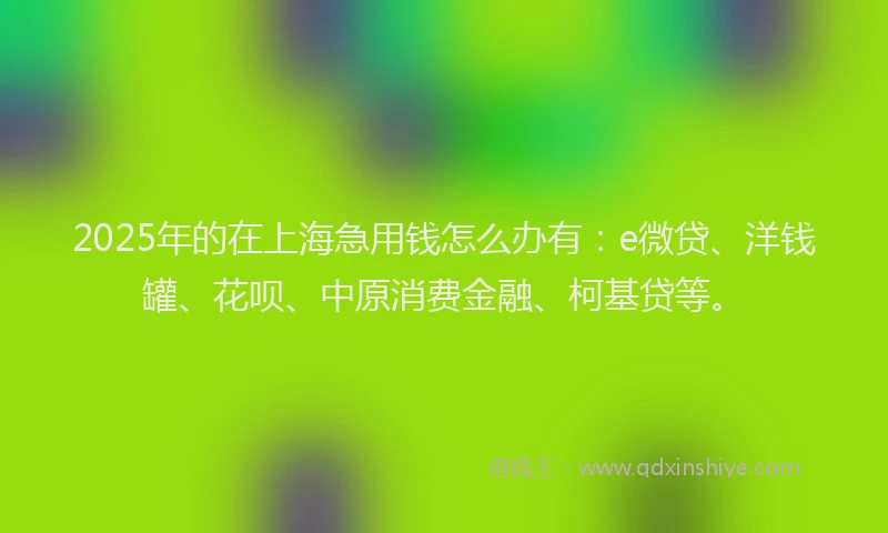 2025年的在上海急用钱怎么办有：e微贷、洋钱罐、花呗、中原消费金融、柯基贷等。