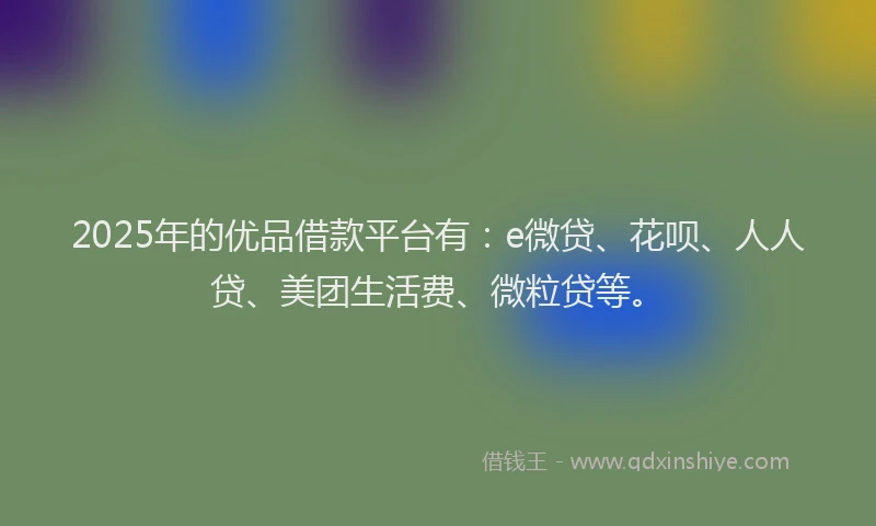 2025年的优品借款平台有：e微贷、花呗、人人贷、美团生活费、微粒贷等。