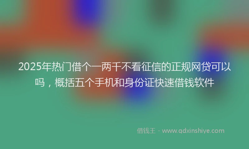 2025年热门借个一两千不看征信的正规网贷可以吗，概括五个手机和身份证快速借钱软件