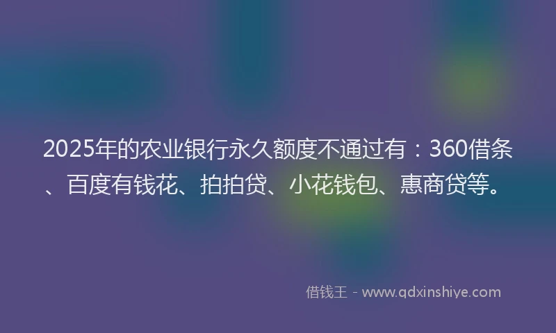 2025年的农业银行永久额度不通过有：360借条、百度有钱花、拍拍贷、小花钱包、惠商贷等。