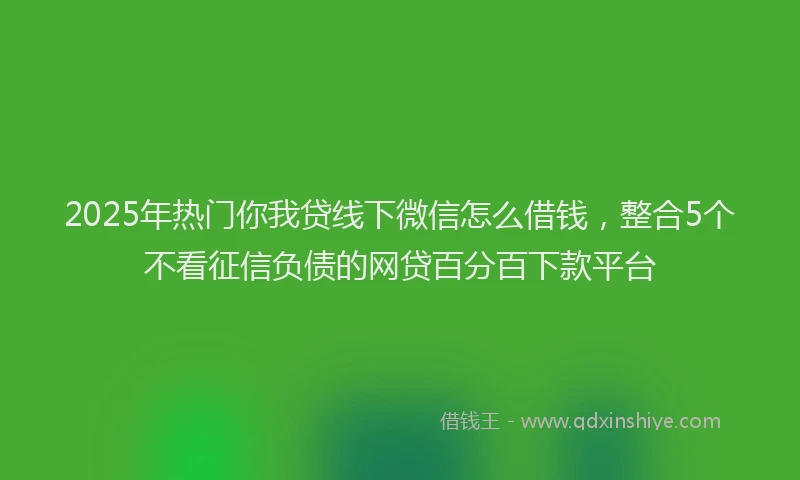 2025年热门你我贷线下微信怎么借钱，整合5个不看征信负债的网贷百分百下款平台