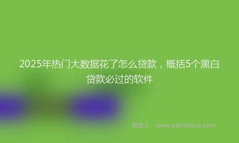 2025年热门大数据花了怎么贷款，概括5个黑白贷款必过的软件