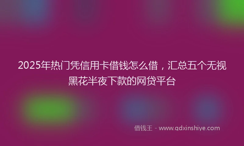 2025年热门凭信用卡借钱怎么借，汇总五个无视黑花半夜下款的网贷平台