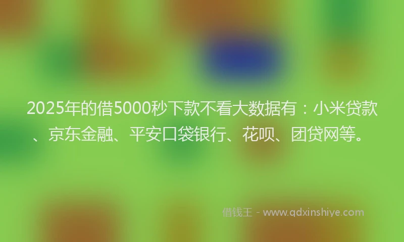 2025年的借5000秒下款不看大数据有：小米贷款、京东金融、平安口袋银行、花呗、团贷网等。