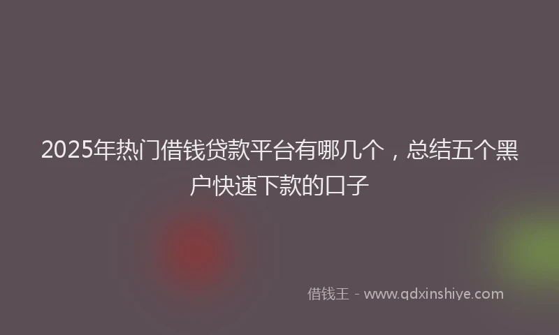 2025年热门借钱贷款平台有哪几个，总结五个黑户快速下款的口子
