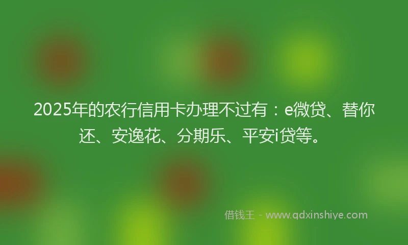 2025年的农行信用卡办理不过有：e微贷、替你还、安逸花、分期乐、平安i贷等。