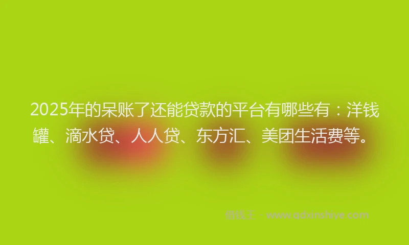2025年的呆账了还能贷款的平台有哪些有：洋钱罐、滴水贷、人人贷、东方汇、美团生活费等。