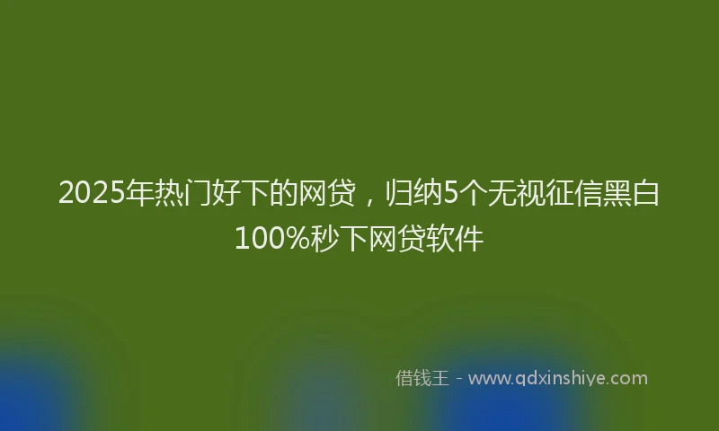 2025年热门好下的网贷，归纳5个无视征信黑白100%秒下网贷软件