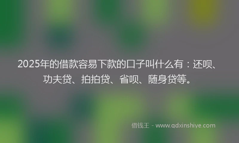 2025年的借款容易下款的口子叫什么有：还呗、功夫贷、拍拍贷、省呗、随身贷等。