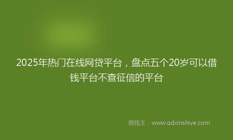 2025年热门在线网贷平台，盘点五个20岁可以借钱平台不查征信的平台