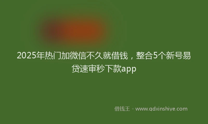 2025年热门加微信不久就借钱，整合5个新号易贷速审秒下款app