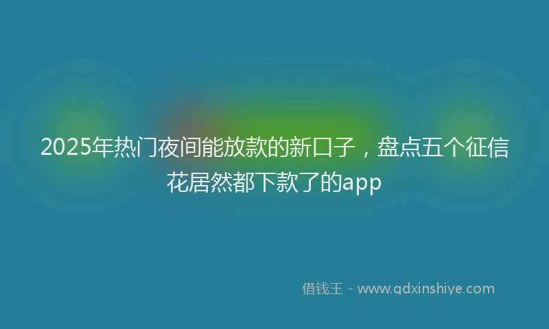 2025年热门夜间能放款的新口子，盘点五个征信花居然都下款了的app