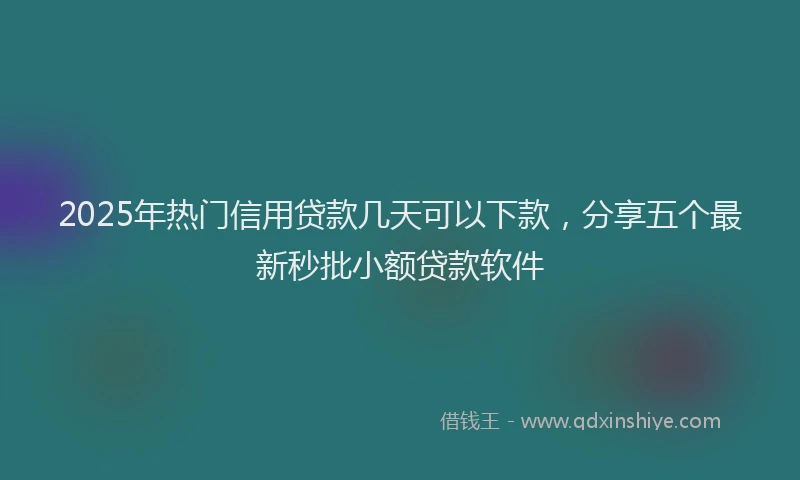2025年热门信用贷款几天可以下款，分享五个最新秒批小额贷款软件