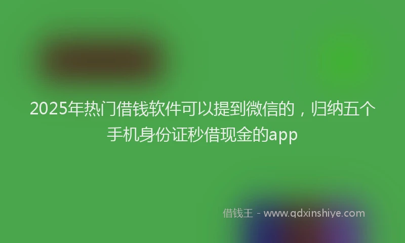 2025年热门借钱软件可以提到微信的，归纳五个手机身份证秒借现金的app