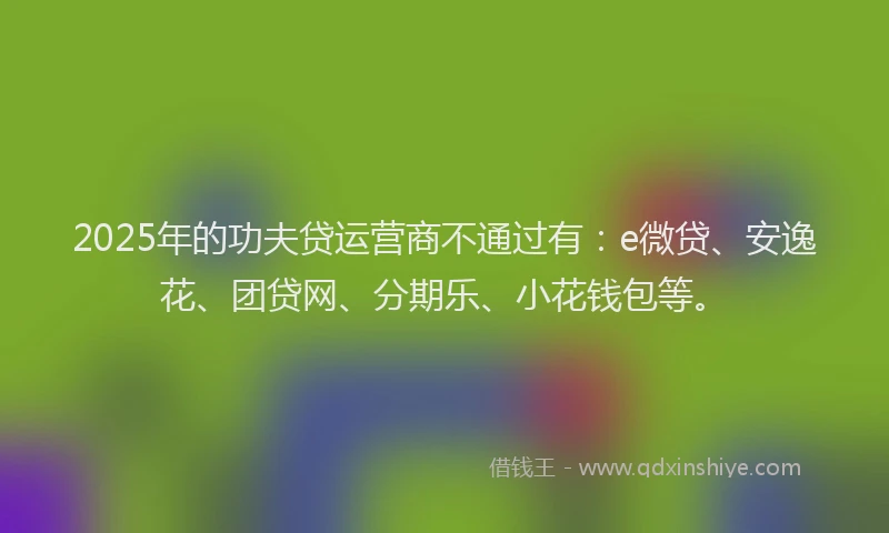 2025年的功夫贷运营商不通过有：e微贷、安逸花、团贷网、分期乐、小花钱包等。