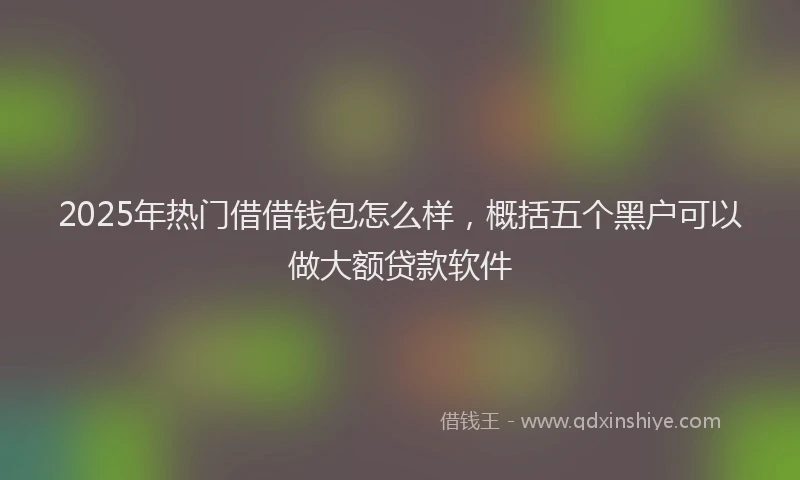 2025年热门借借钱包怎么样，概括五个黑户可以做大额贷款软件