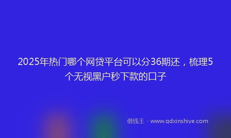 2025年热门哪个网贷平台可以分36期还，梳理5个无视黑户秒下款的口子