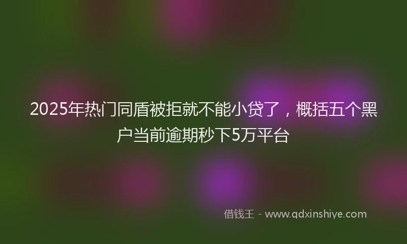 2025年热门同盾被拒就不能小贷了，概括五个黑户当前逾期秒下5万平台