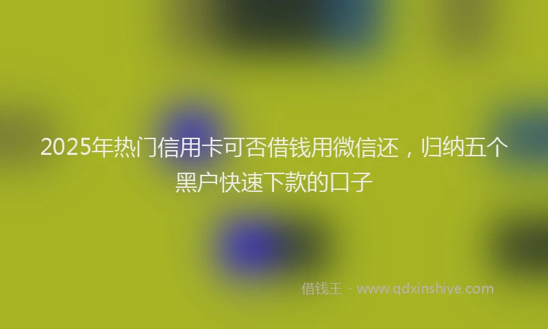 2025年热门信用卡可否借钱用微信还，归纳五个黑户快速下款的口子