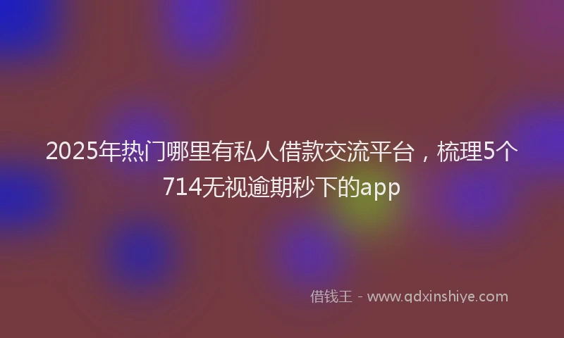 2025年热门哪里有私人借款交流平台，梳理5个714无视逾期秒下的app