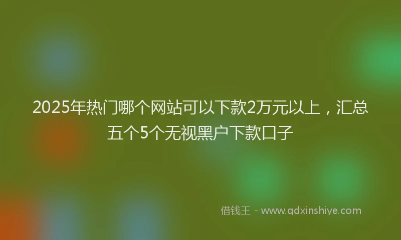 2025年热门哪个网站可以下款2万元以上，汇总五个5个无视黑户下款口子