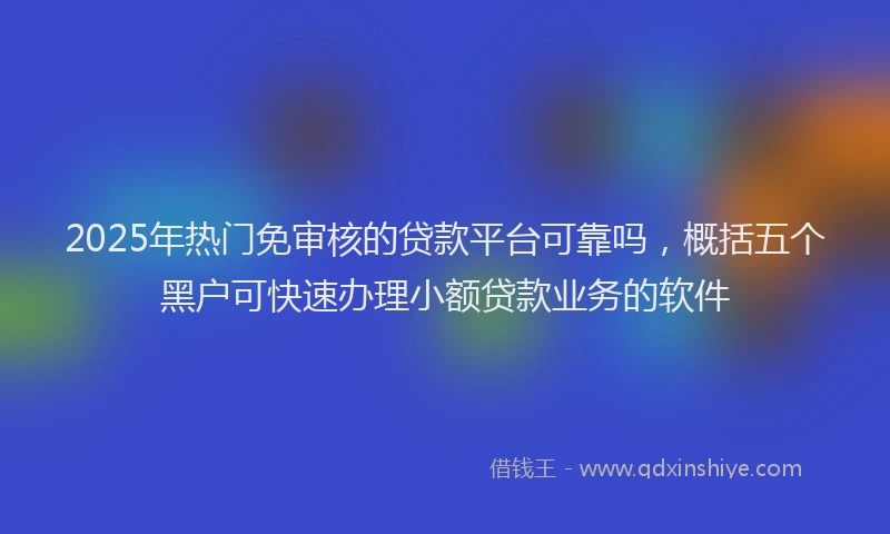 2025年热门免审核的贷款平台可靠吗，概括五个黑户可快速办理小额贷款业务的软件