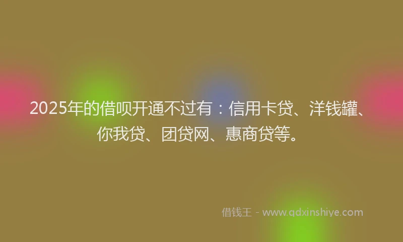 2025年的借呗开通不过有：信用卡贷、洋钱罐、你我贷、团贷网、惠商贷等。