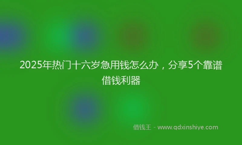 2025年热门十六岁急用钱怎么办，分享5个靠谱借钱利器