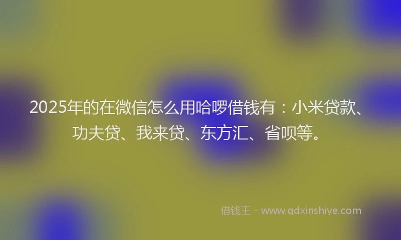 2025年的在微信怎么用哈啰借钱有：小米贷款、功夫贷、我来贷、东方汇、省呗等。