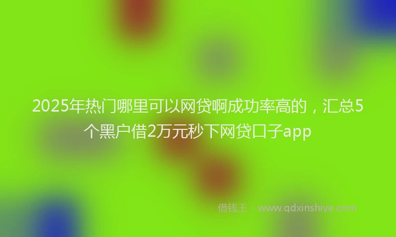 2025年热门哪里可以网贷啊成功率高的，汇总5个黑户借2万元秒下网贷口子app