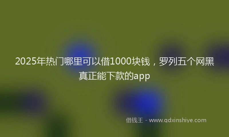 2025年热门哪里可以借1000块钱，罗列五个网黑真正能下款的app