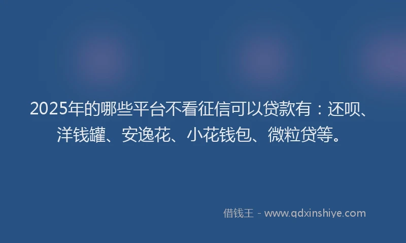 2025年的哪些平台不看征信可以贷款有：还呗、洋钱罐、安逸花、小花钱包、微粒贷等。