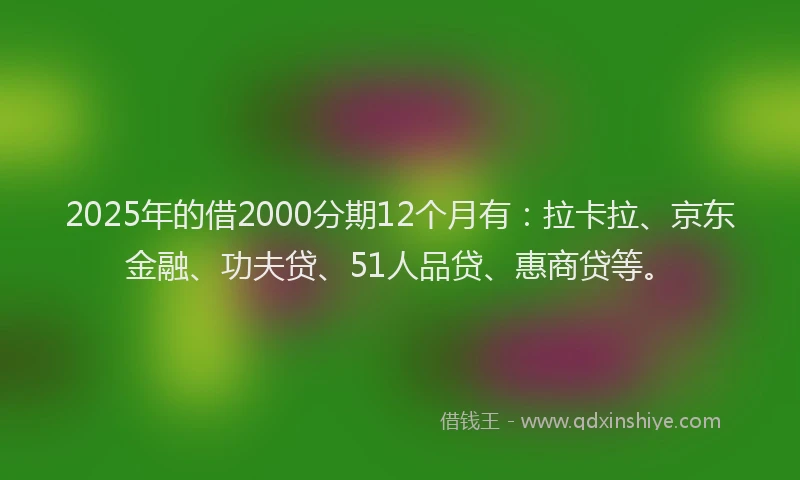 2025年的借2000分期12个月有：拉卡拉、京东金融、功夫贷、51人品贷、惠商贷等。