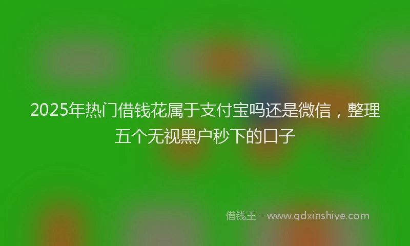 2025年热门借钱花属于支付宝吗还是微信，整理五个无视黑户秒下的口子