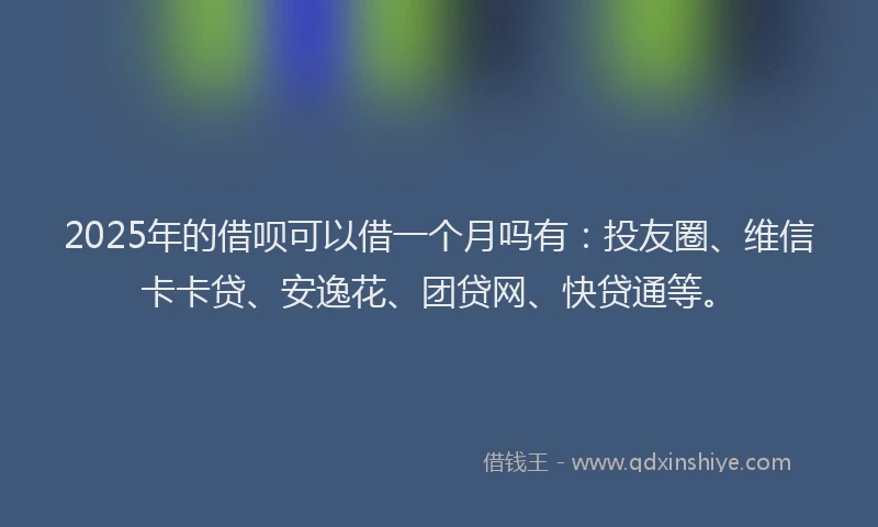 2025年的借呗可以借一个月吗有：投友圈、维信卡卡贷、安逸花、团贷网、快贷通等。