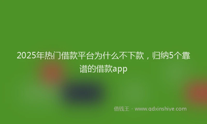 2025年热门借款平台为什么不下款，归纳5个靠谱的借款app