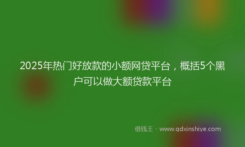 2025年热门好放款的小额网贷平台，概括5个黑户可以做大额贷款平台
