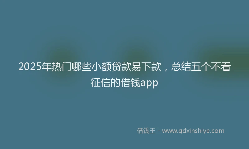 2025年热门哪些小额贷款易下款，总结五个不看征信的借钱app