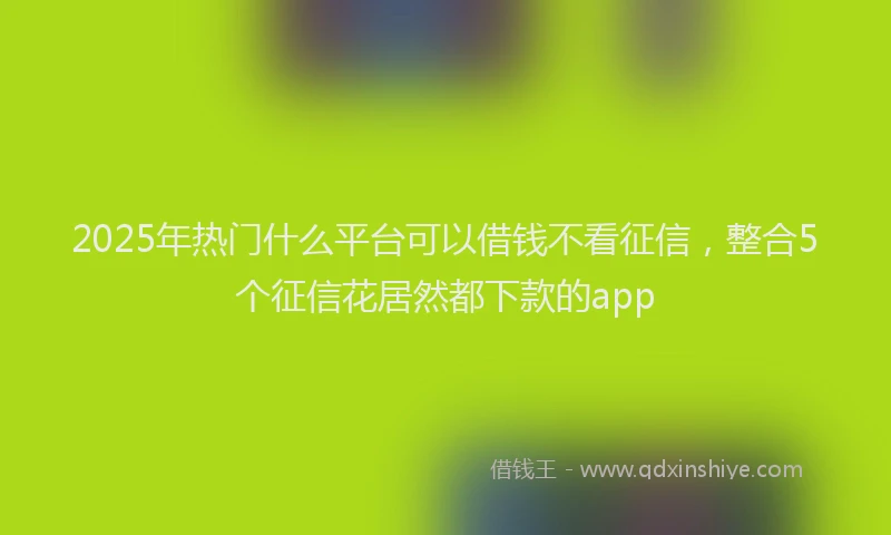 2025年热门什么平台可以借钱不看征信，整合5个征信花居然都下款的app