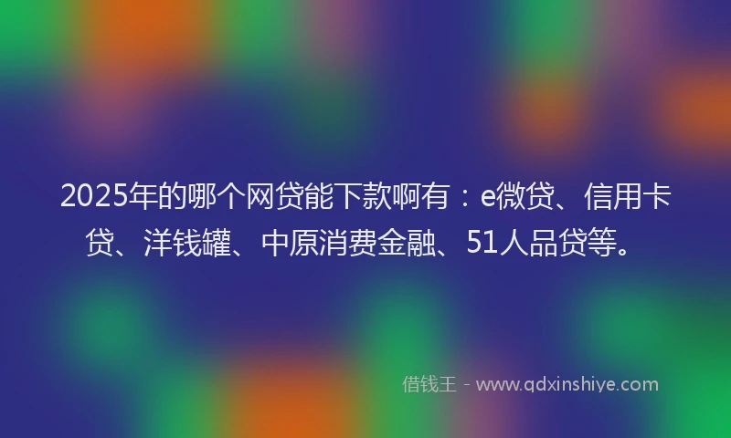 2025年的哪个网贷能下款啊有：e微贷、信用卡贷、洋钱罐、中原消费金融、51人品贷等。