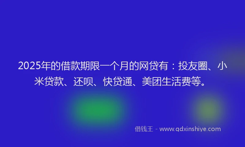 2025年的借款期限一个月的网贷有：投友圈、小米贷款、还呗、快贷通、美团生活费等。