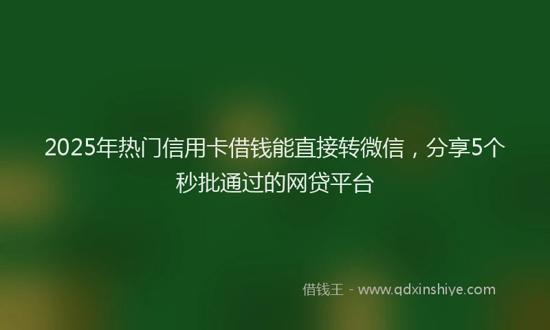2025年热门信用卡借钱能直接转微信，分享5个秒批通过的网贷平台