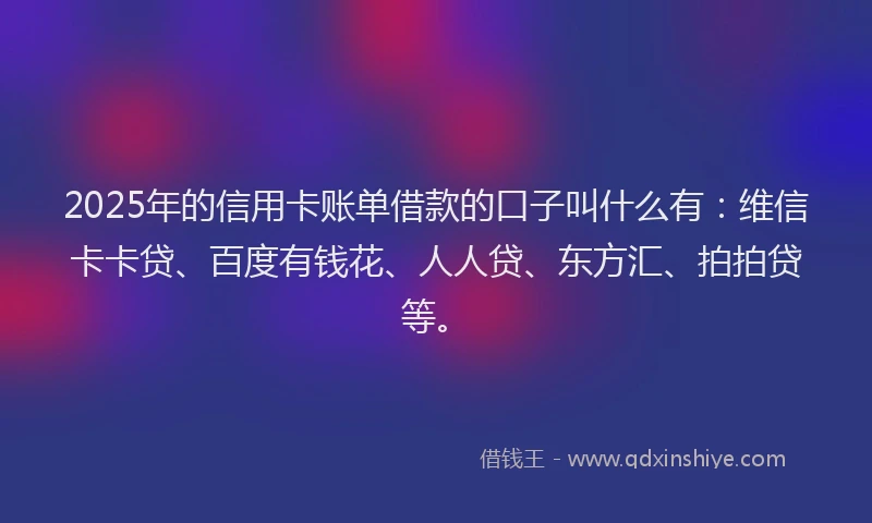 2025年的信用卡账单借款的口子叫什么有：维信卡卡贷、百度有钱花、人人贷、东方汇、拍拍贷等。
