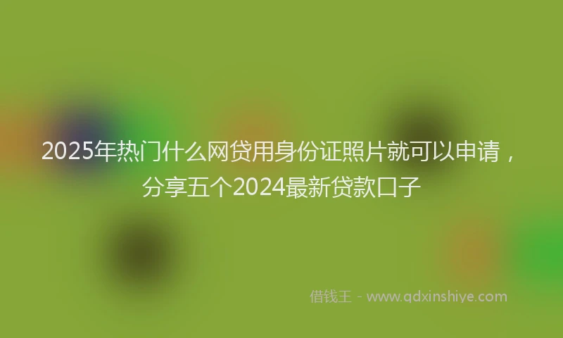 2025年热门什么网贷用身份证照片就可以申请，分享五个2024最新贷款口子