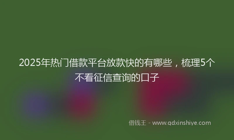 2025年热门借款平台放款快的有哪些，梳理5个不看征信查询的口子