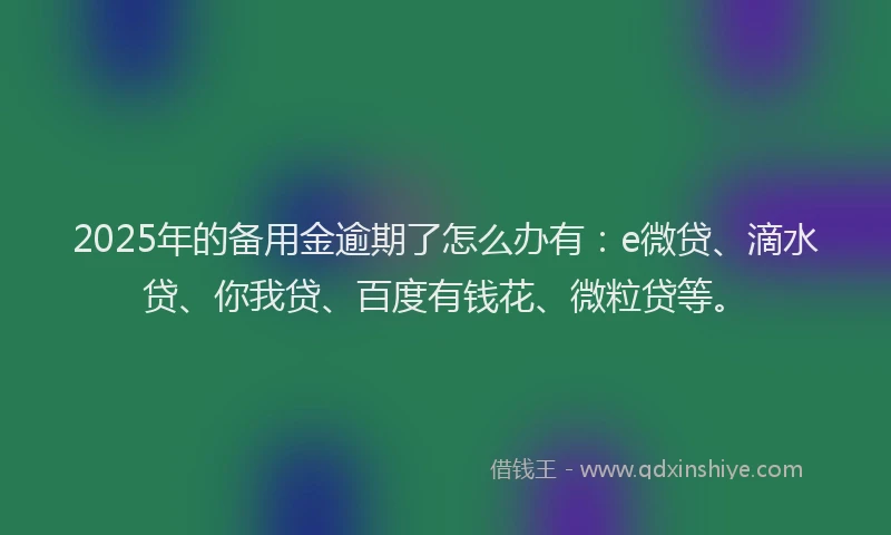 2025年的备用金逾期了怎么办有：e微贷、滴水贷、你我贷、百度有钱花、微粒贷等。