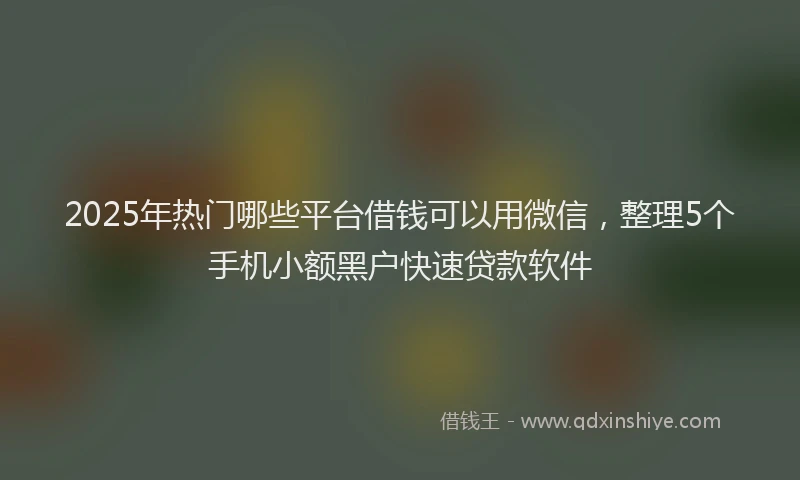 2025年热门哪些平台借钱可以用微信，整理5个手机小额黑户快速贷款软件