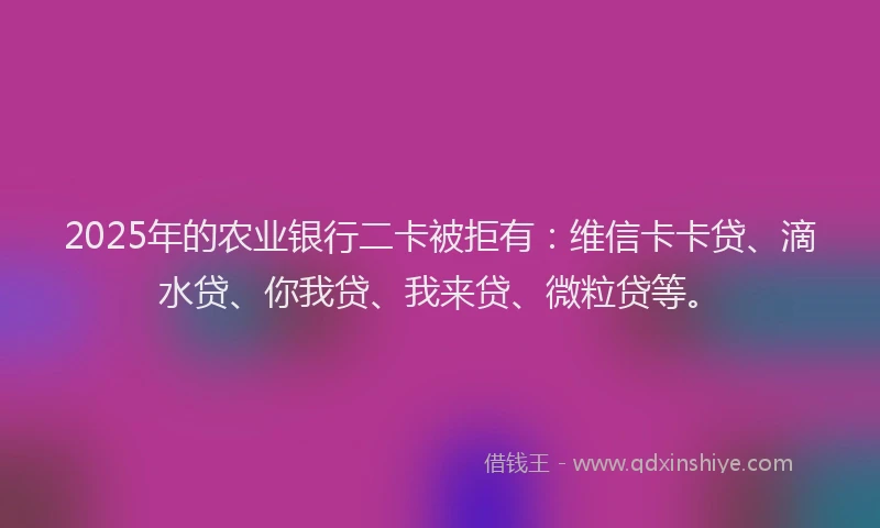 2025年的农业银行二卡被拒有：维信卡卡贷、滴水贷、你我贷、我来贷、微粒贷等。