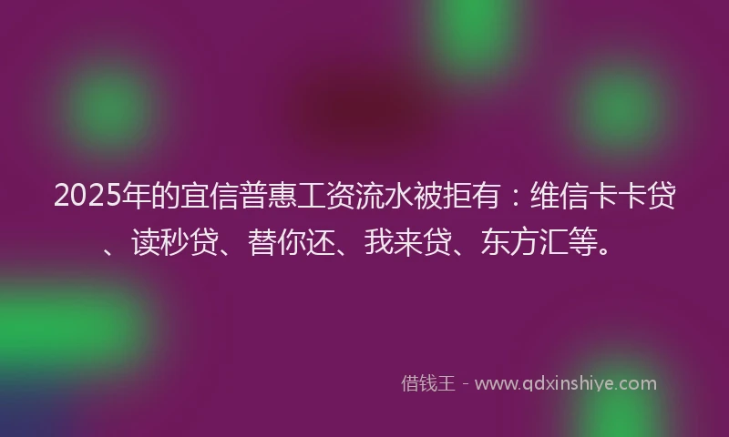 2025年的宜信普惠工资流水被拒有：维信卡卡贷、读秒贷、替你还、我来贷、东方汇等。