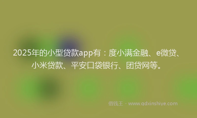 2025年的小型贷款app有：度小满金融、e微贷、小米贷款、平安口袋银行、团贷网等。